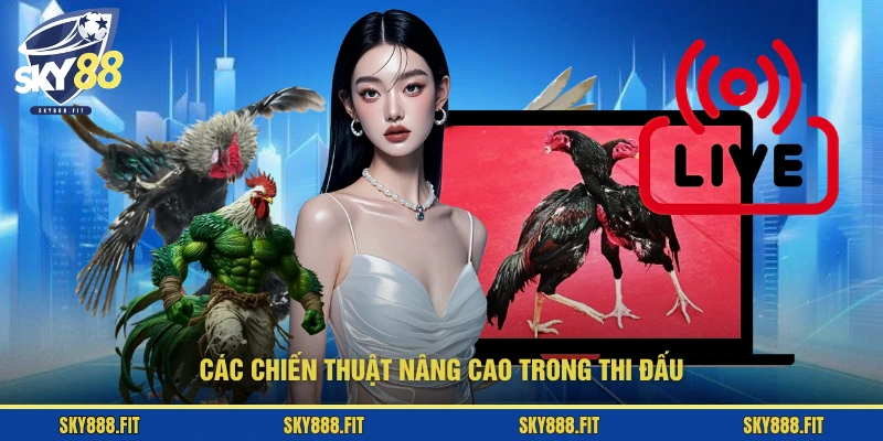 Các chiến thuật nâng cao trong thi đấu