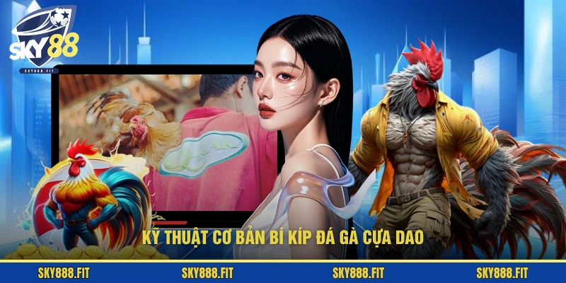 Kỹ thuật cơ bản bí kíp đá gà cựa dao