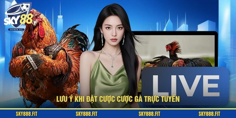 Lưu ý khi đặt cược cược gà trực tuyến