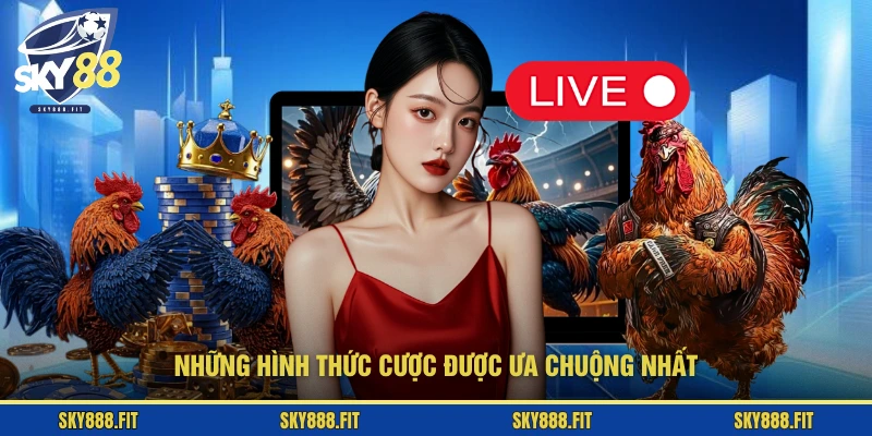 Những hình thức cược được ưa chuộng nhất