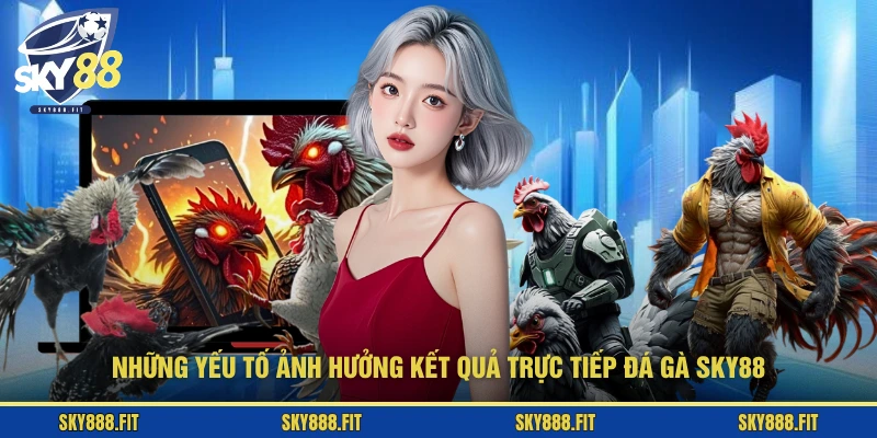 Những yếu tố ảnh hưởng kết quả trực tiếp đá gà SKY88