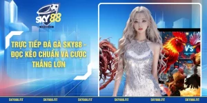 Trực Tiếp Đá Gà SKY88 - Đọc Kèo Chuẩn Và Cược Thắng Lớn